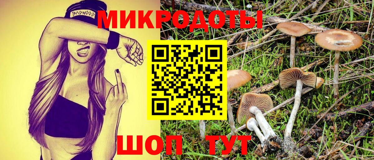 Псилоцибиновые грибы мухоморы Москва