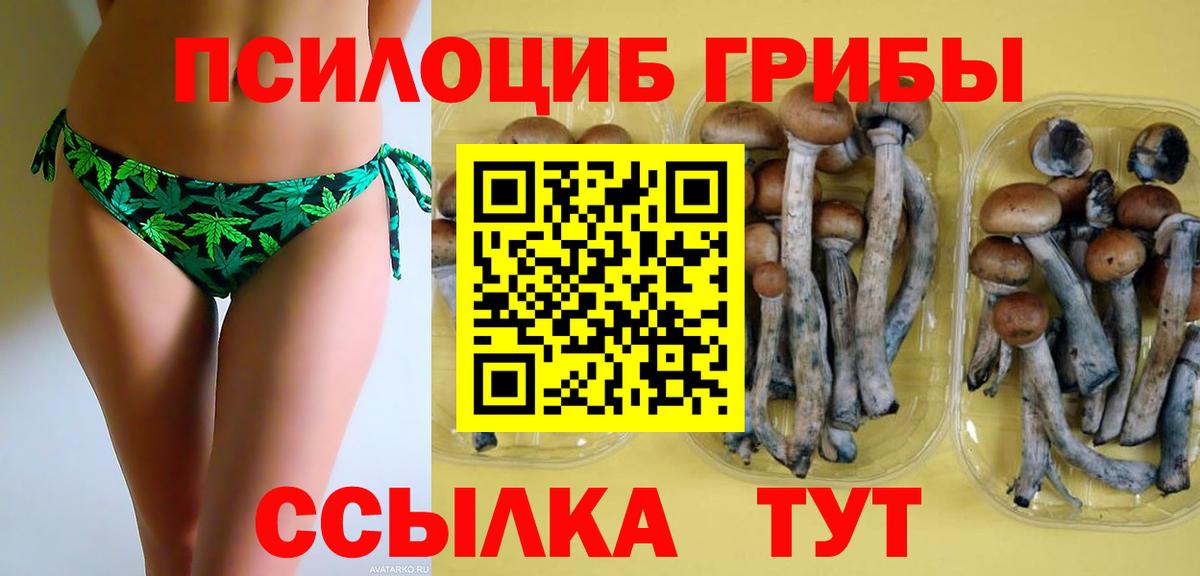 Москва  Галлюциногенные грибы Psilocybe  Вход с VPN 